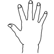 hand.jpg